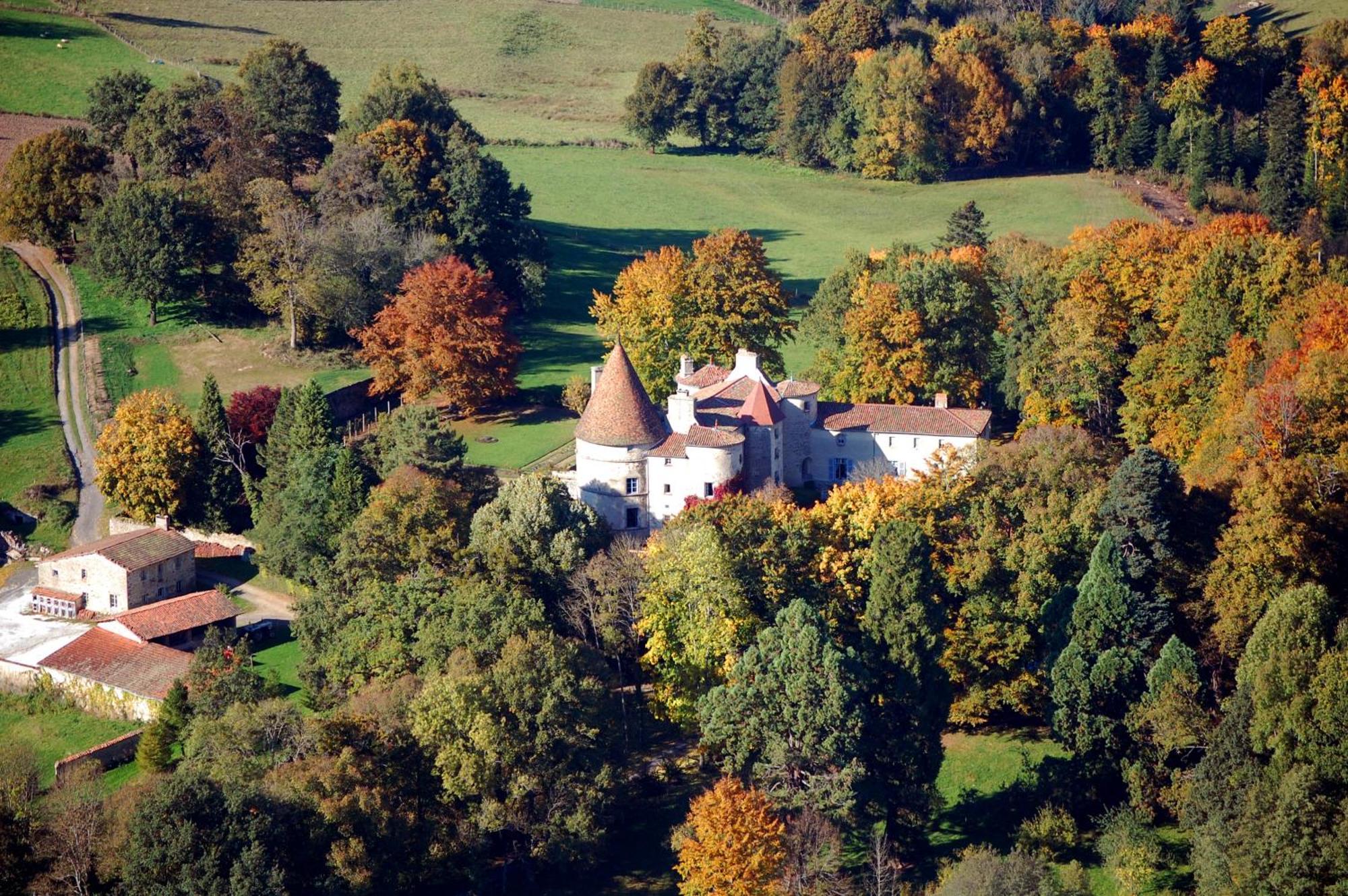 Chateau Des Martinanches Saint-Dier-d'Auvergne Экстерьер фото