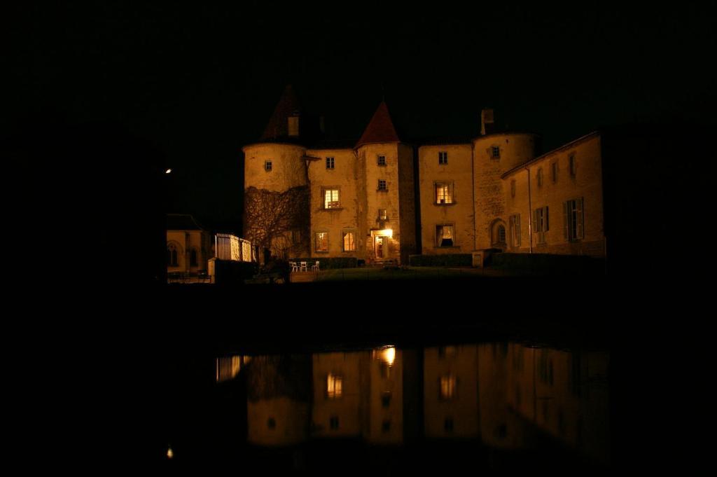 Chateau Des Martinanches Saint-Dier-d'Auvergne Экстерьер фото