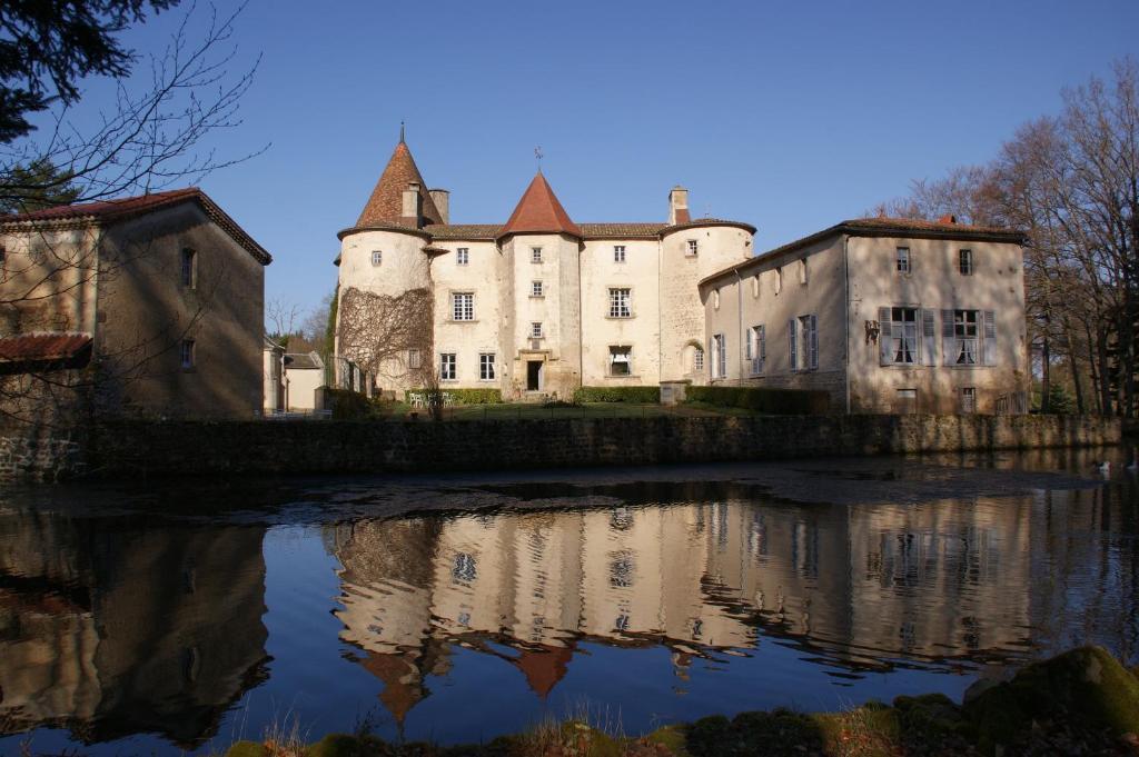 Chateau Des Martinanches Saint-Dier-d'Auvergne Экстерьер фото